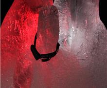 IMG_9591